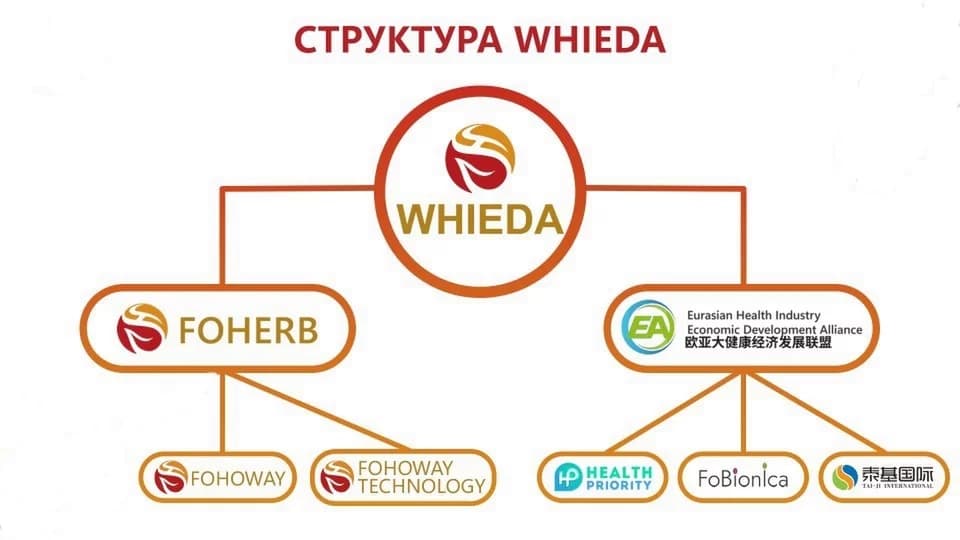 Структура WHIEDA: корпорация FOHERB, фармкомпания Fohoway, Евразийская Ассоциация